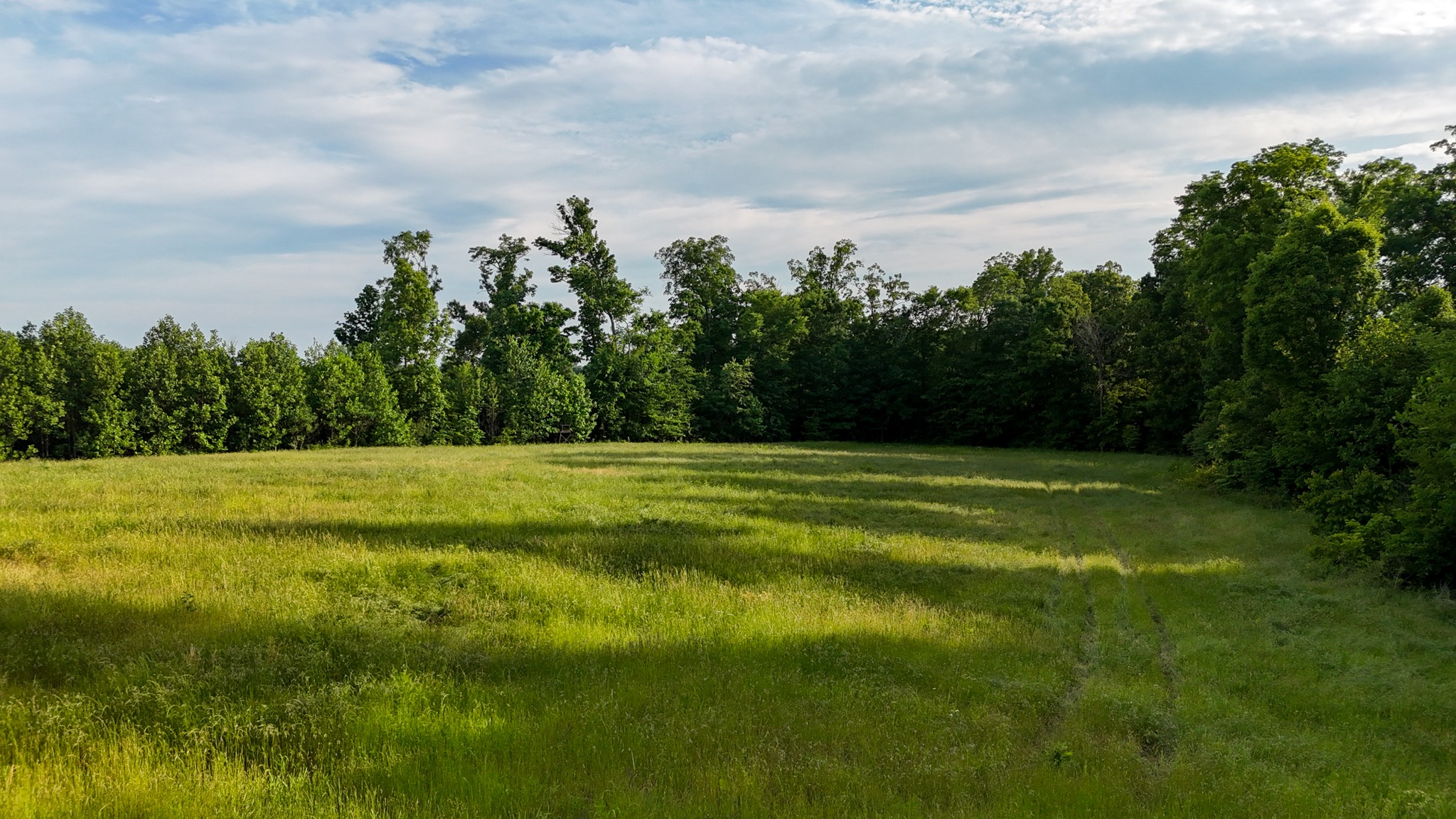 0 Mcadams Road Greenfield TN 38230