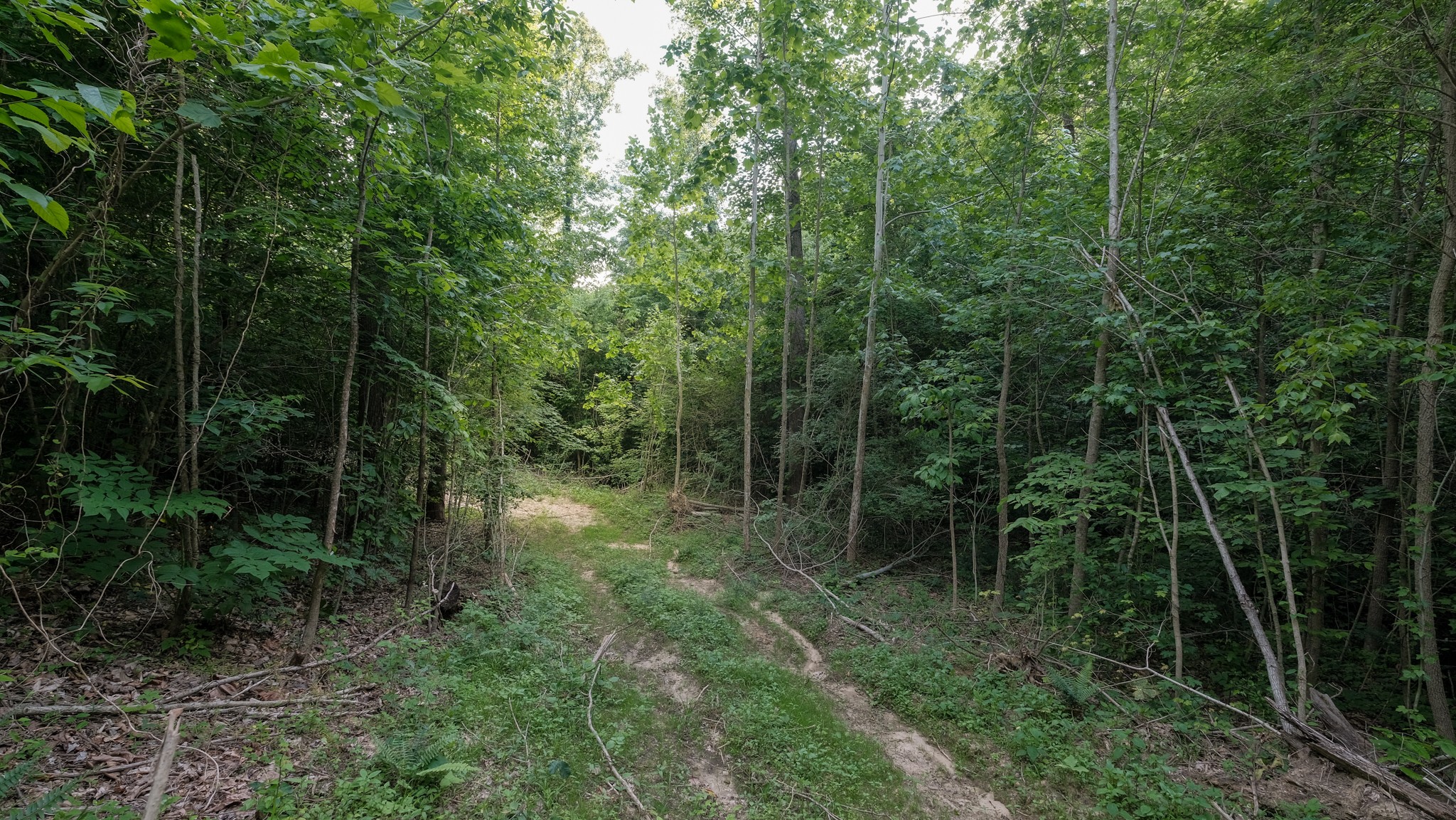 0 Mcadams Road Greenfield TN 38230