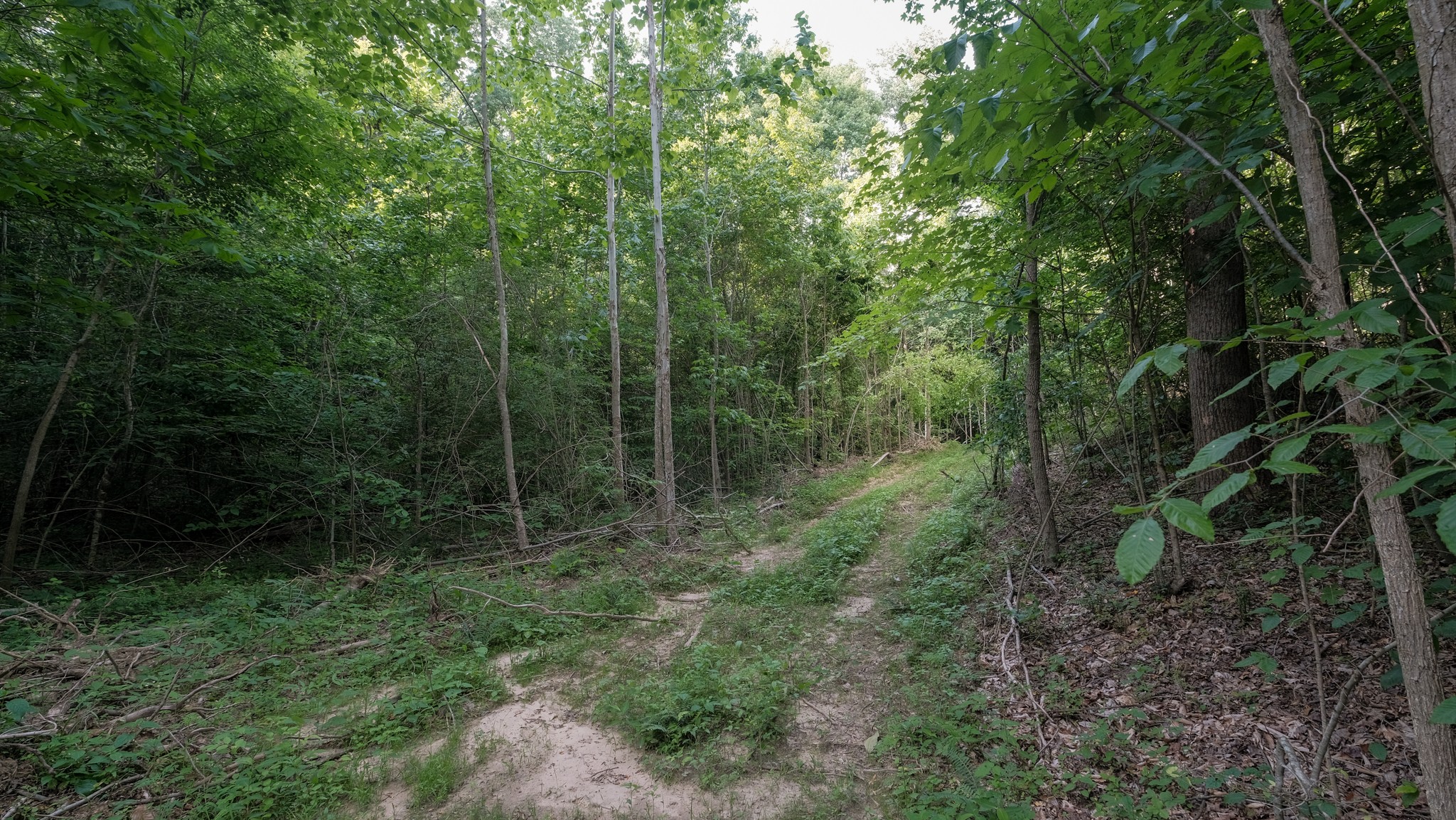 0 Mcadams Road Greenfield TN 38230