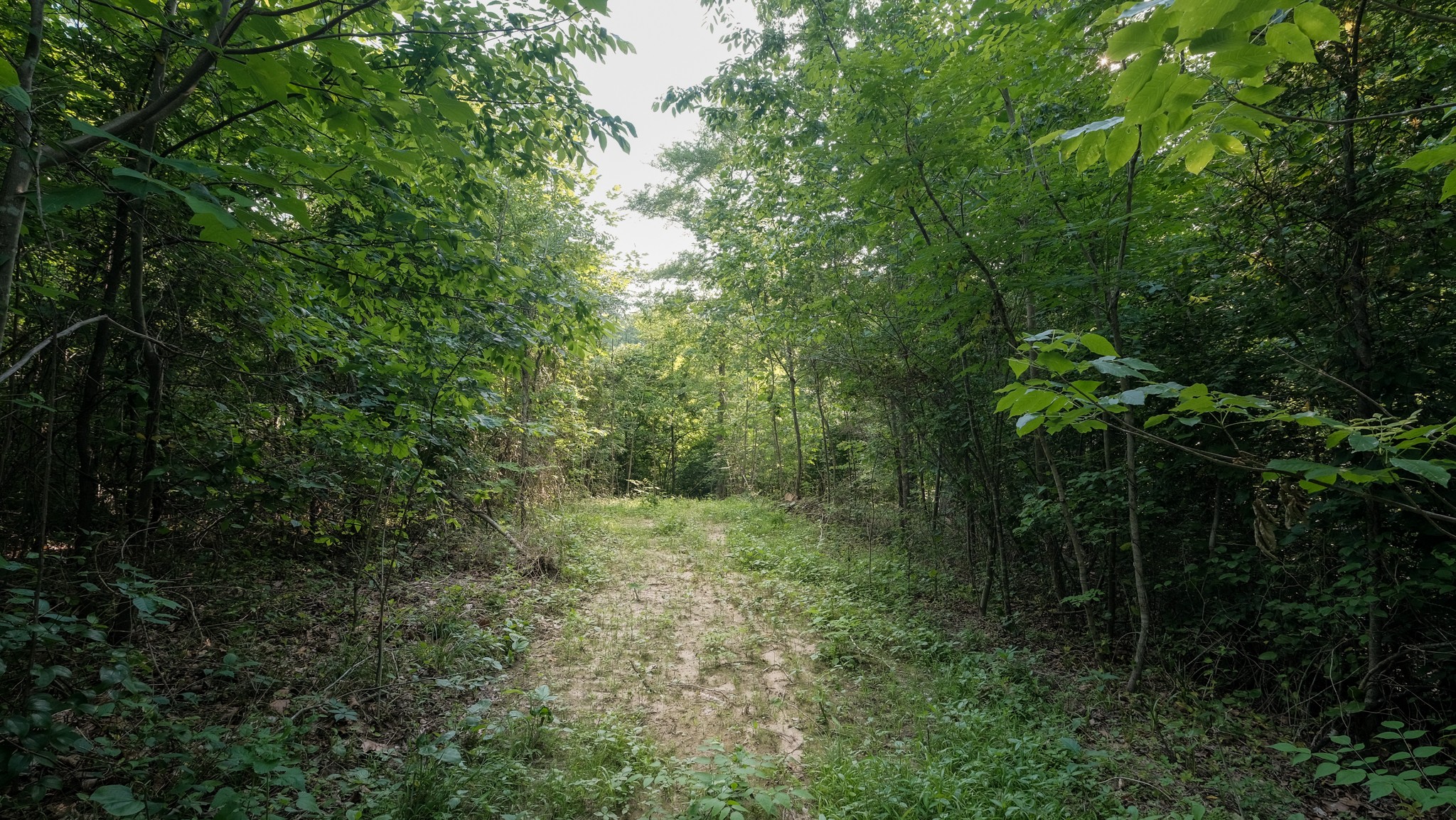 0 Mcadams Road Greenfield TN 38230