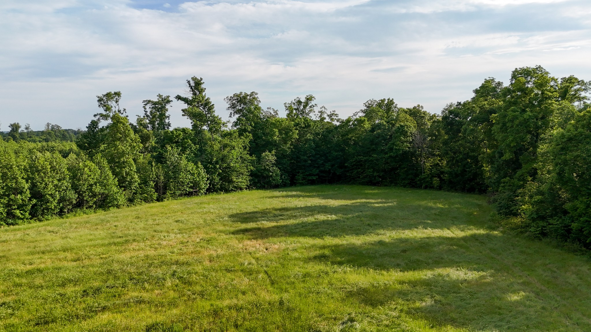 0 Mcadams Road Greenfield TN 38230