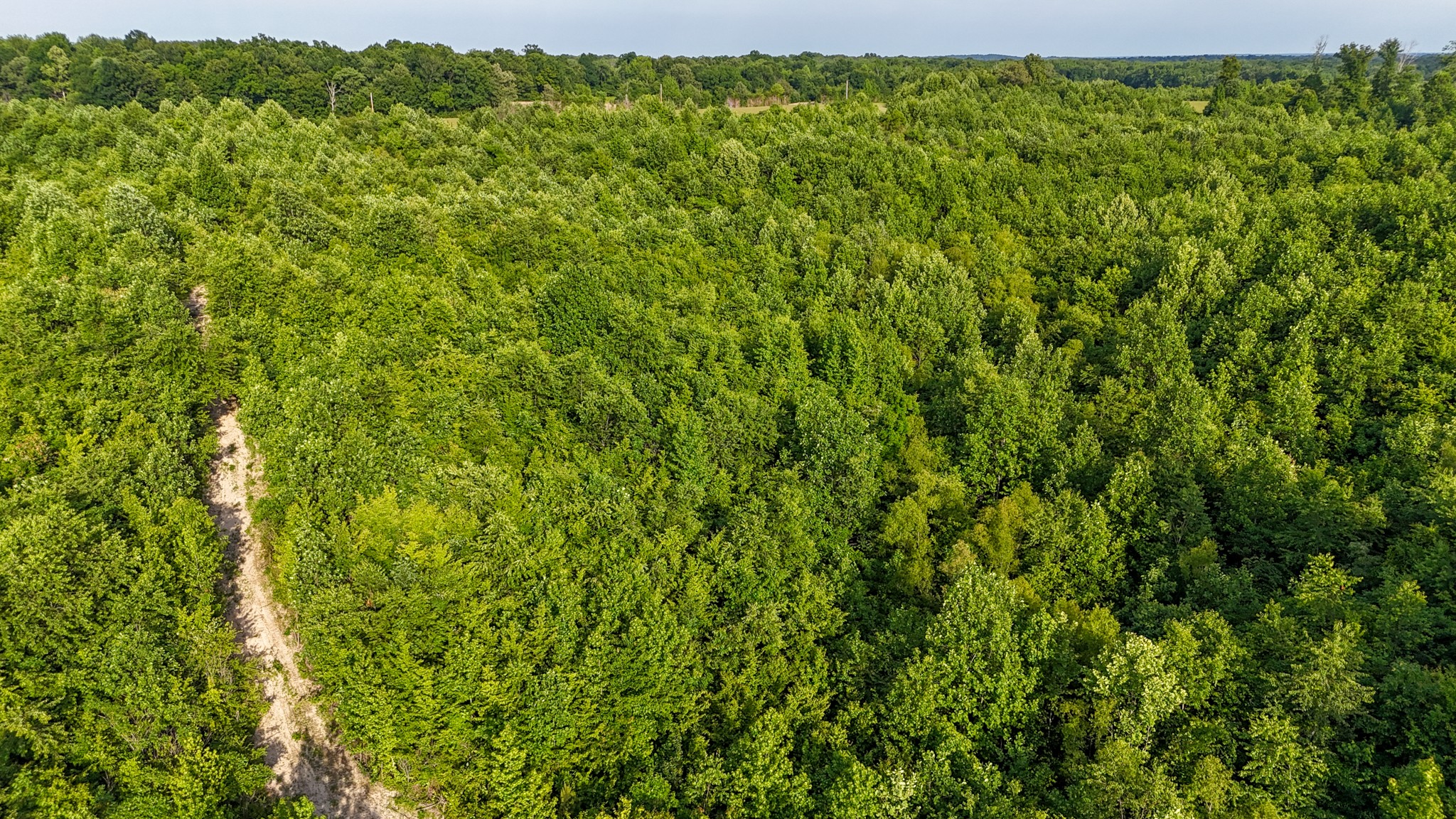 0 Mcadams Road Greenfield TN 38230