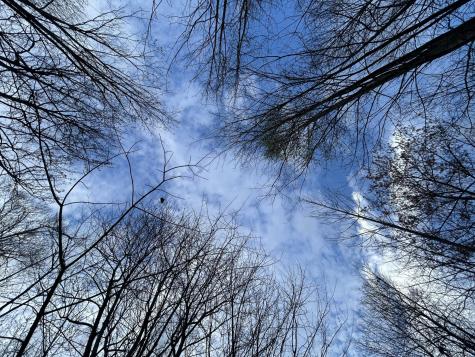 270 Volunteer Street Jasper TN 37347