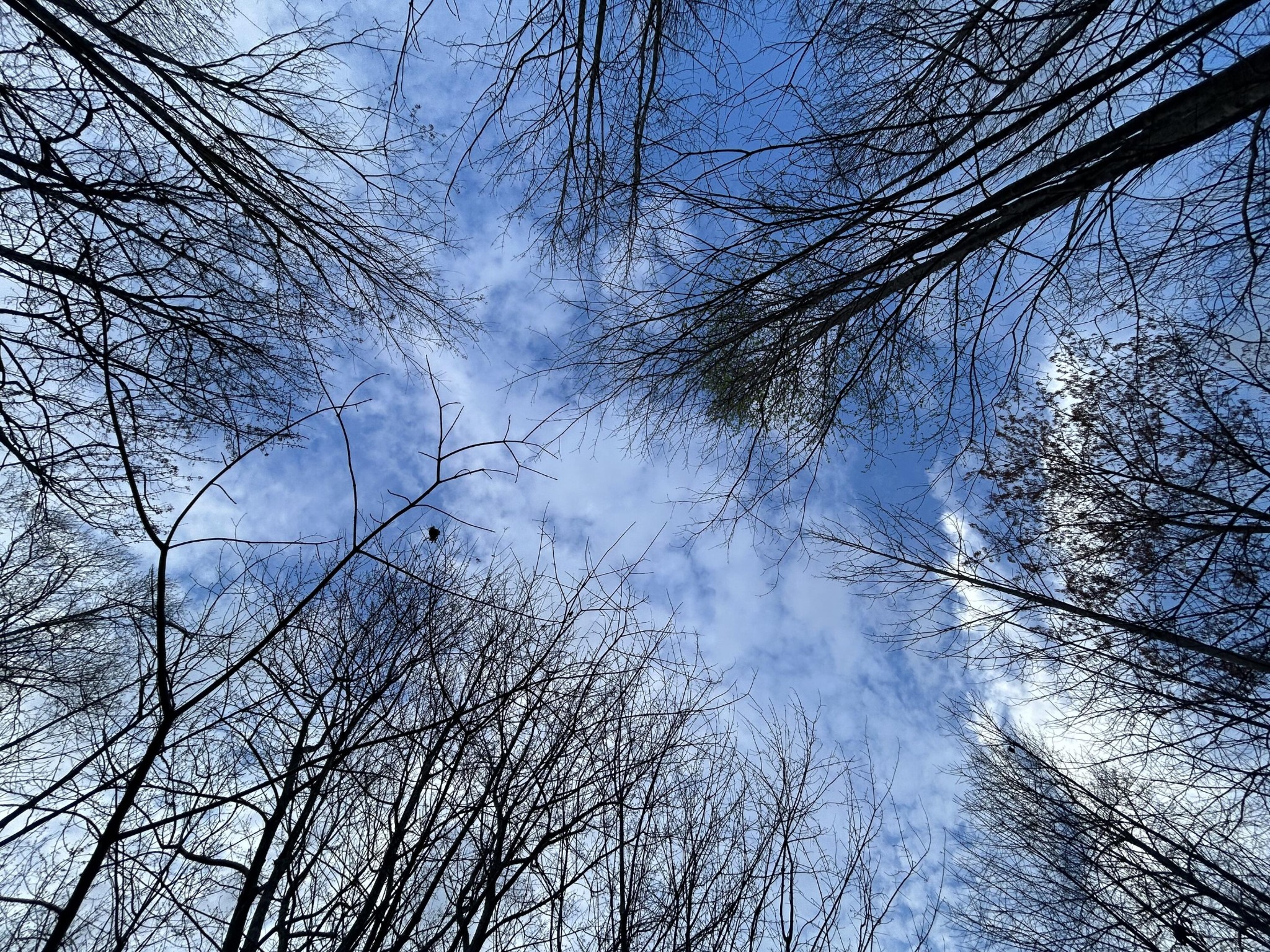 270 Volunteer Street Jasper TN 37347