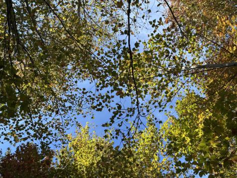 270 Volunteer Street Jasper TN 37347