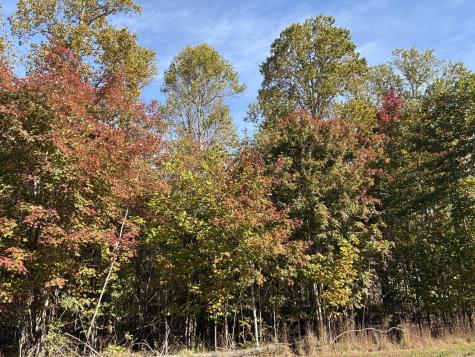 270 Volunteer Street Jasper TN 37347