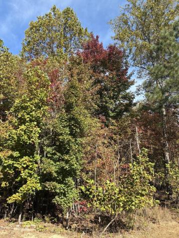 270 Volunteer Street Jasper TN 37347