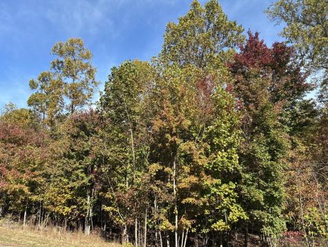 270 Volunteer Street Jasper TN 37347