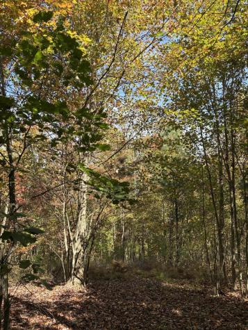 270 Volunteer Street Jasper TN 37347