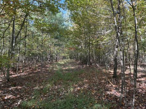 270 Volunteer Street Jasper TN 37347