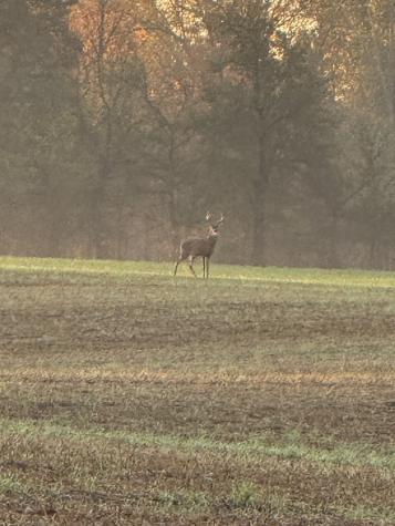 205 Pumpkin Valley Road Indian Mound TN 37079