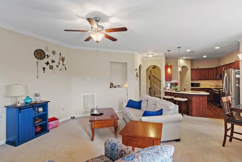 341 Lola Lane Cottontown TN 37048
