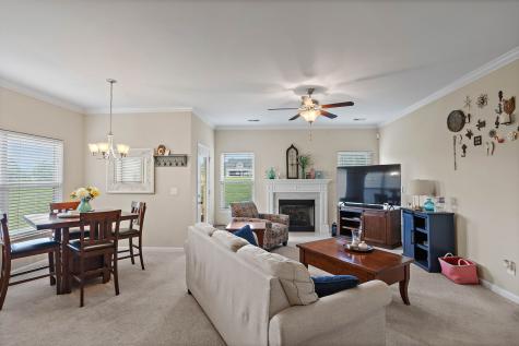 341 Lola Lane Cottontown TN 37048