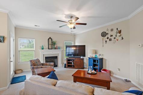 341 Lola Lane Cottontown TN 37048