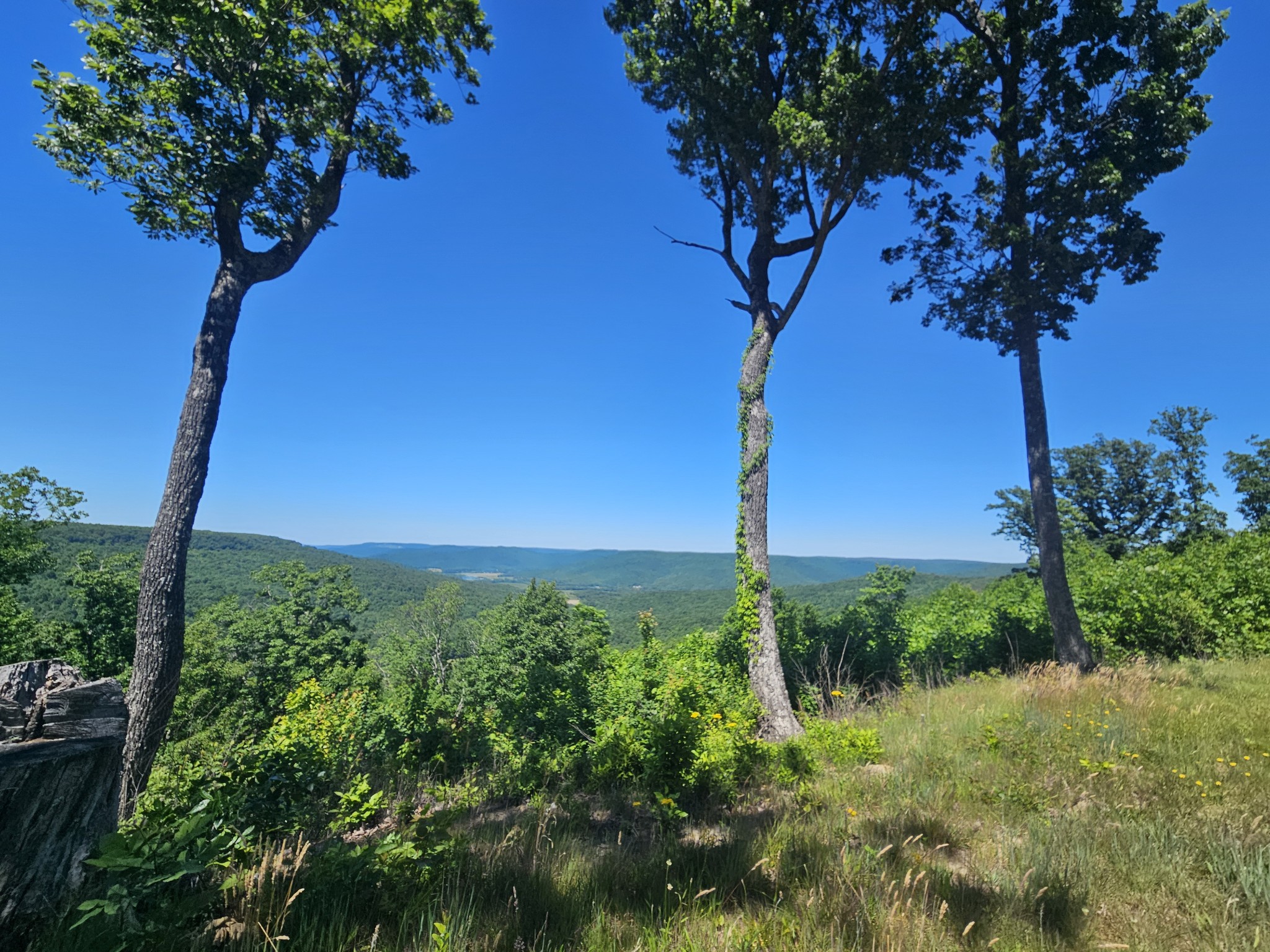 309 Blackberry Road Beersheba Springs TN 37305