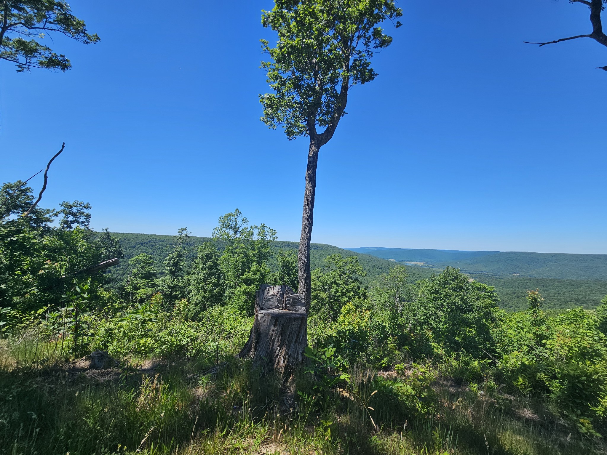 309 Blackberry Road Beersheba Springs TN 37305