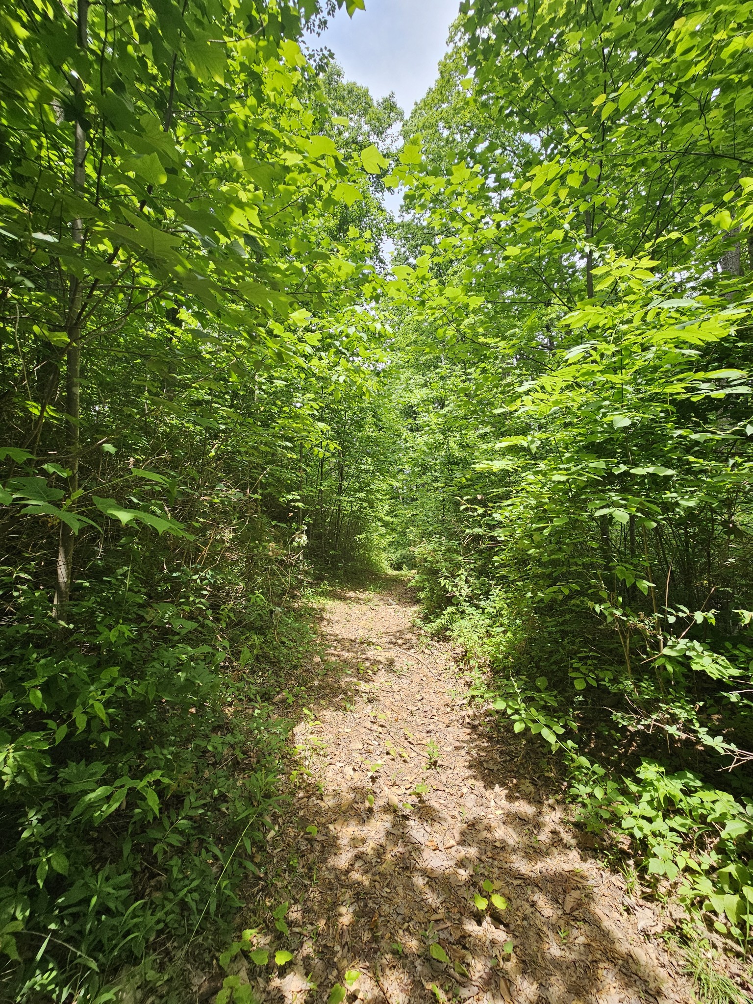 309 Blackberry Road Beersheba Springs TN 37305