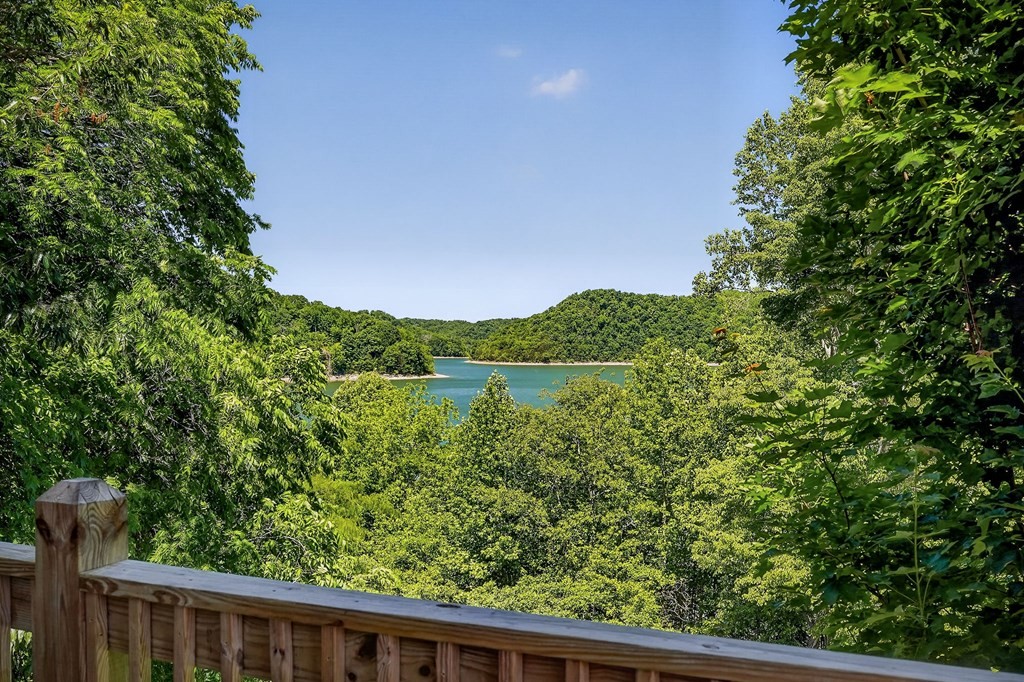 2975 Johnson Chapel Road Sparta TN 38583