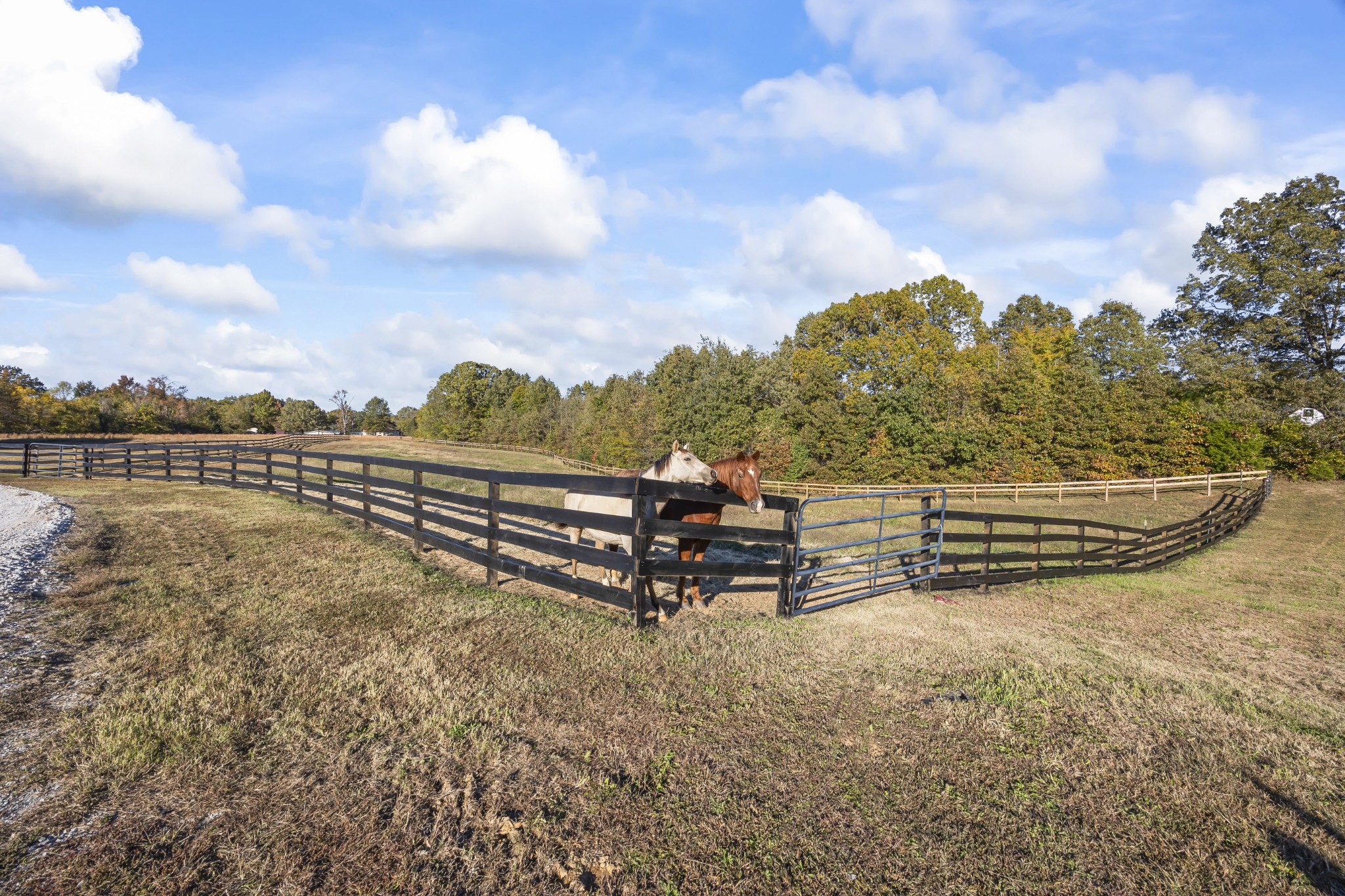 168 Huntersville Denmark Road Denmark TN 38391