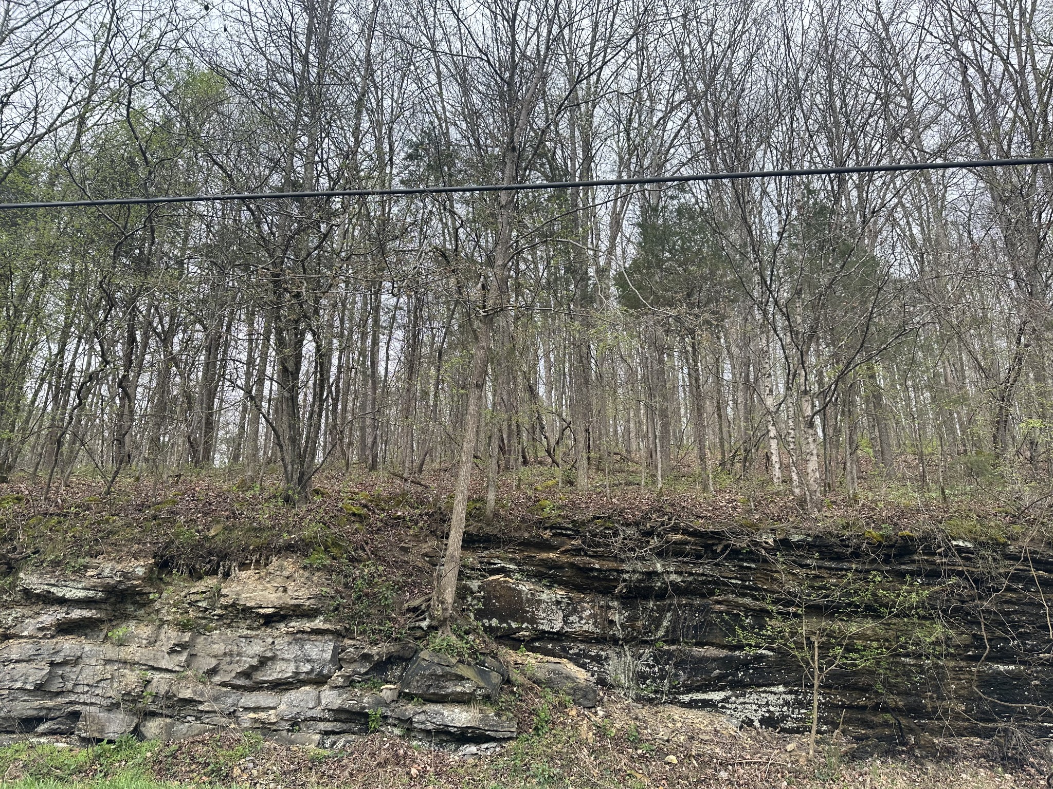 0 Highway 49 Ashland City TN 37015