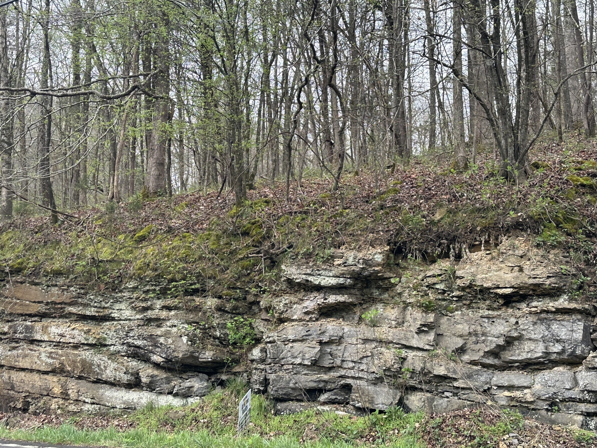 0 Highway 49 Ashland City TN 37015