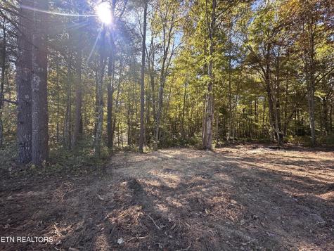 186 Cave Branch Road Allardt TN 38504