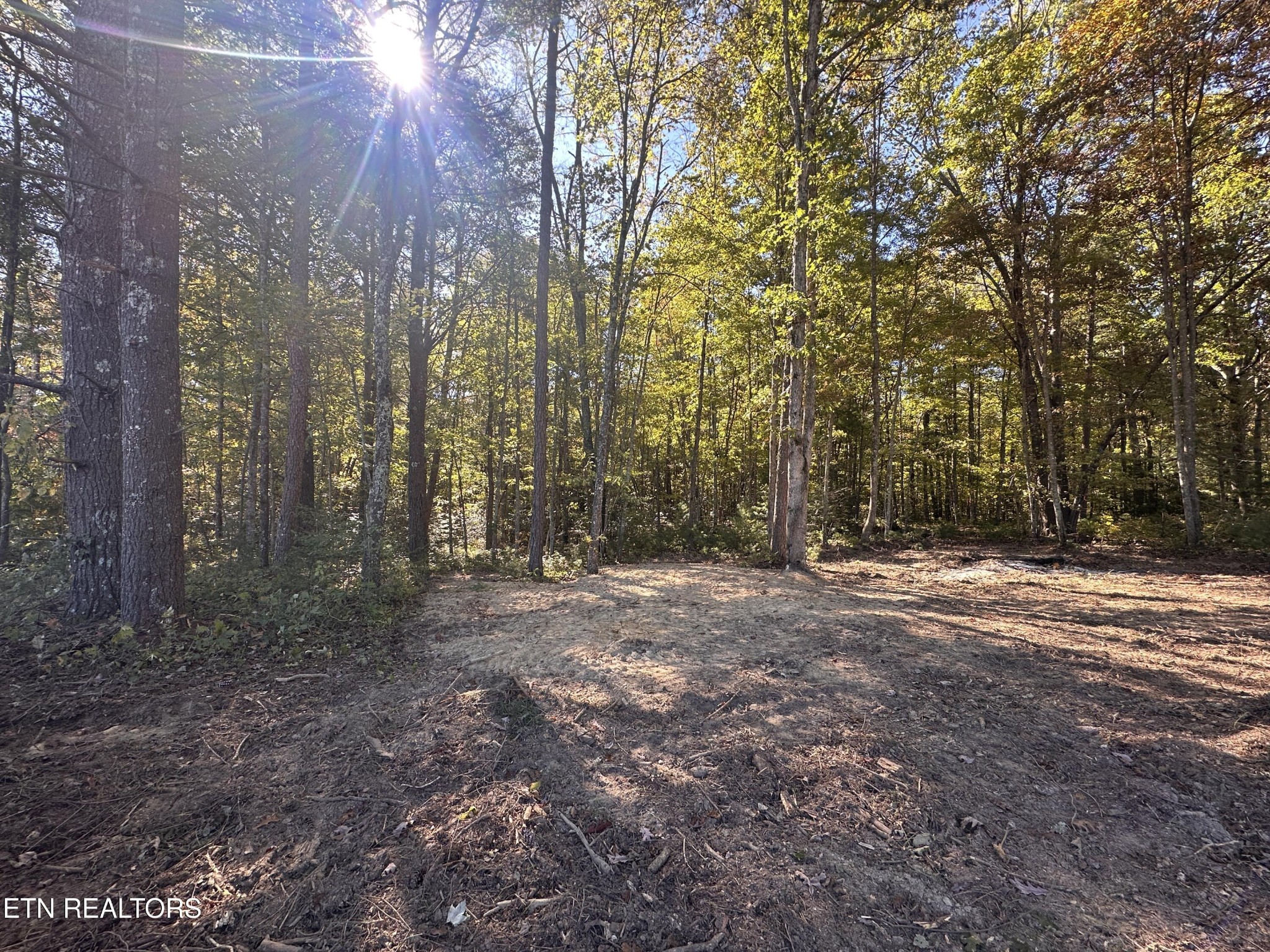 186 Cave Branch Road Allardt TN 38504
