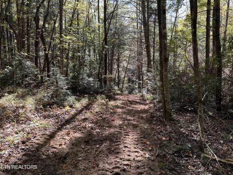 186 Cave Branch Road Allardt TN 38504