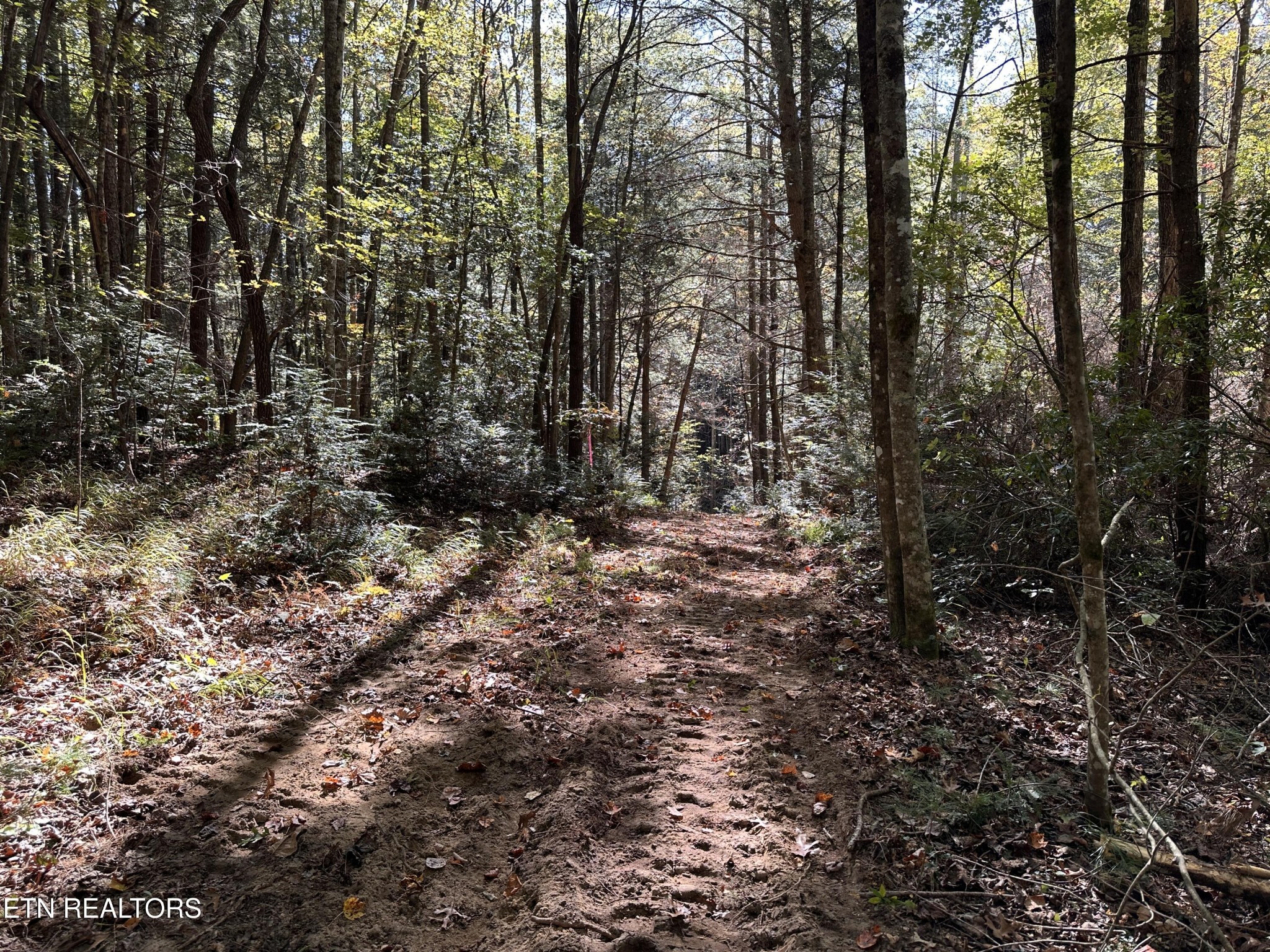 186 Cave Branch Road Allardt TN 38504