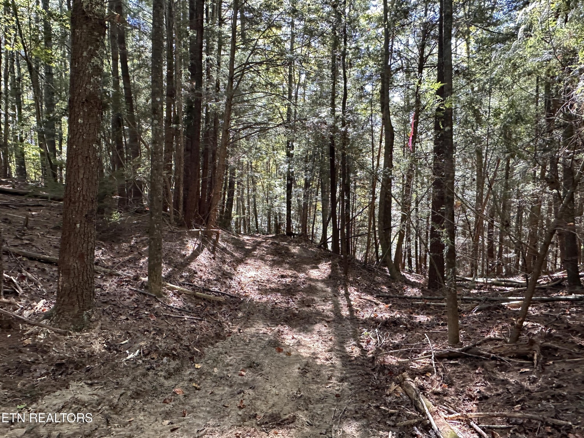 186 Cave Branch Road Allardt TN 38504
