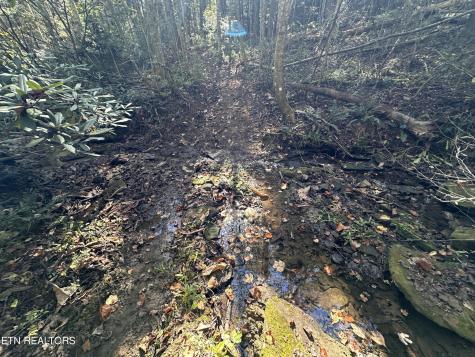 186 Cave Branch Road Allardt TN 38504