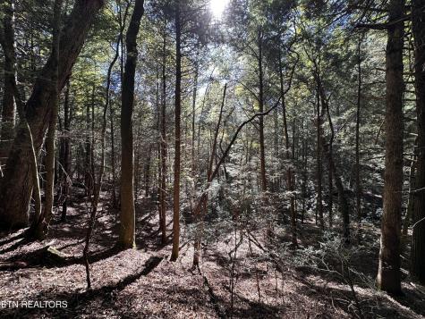 186 Cave Branch Road Allardt TN 38504