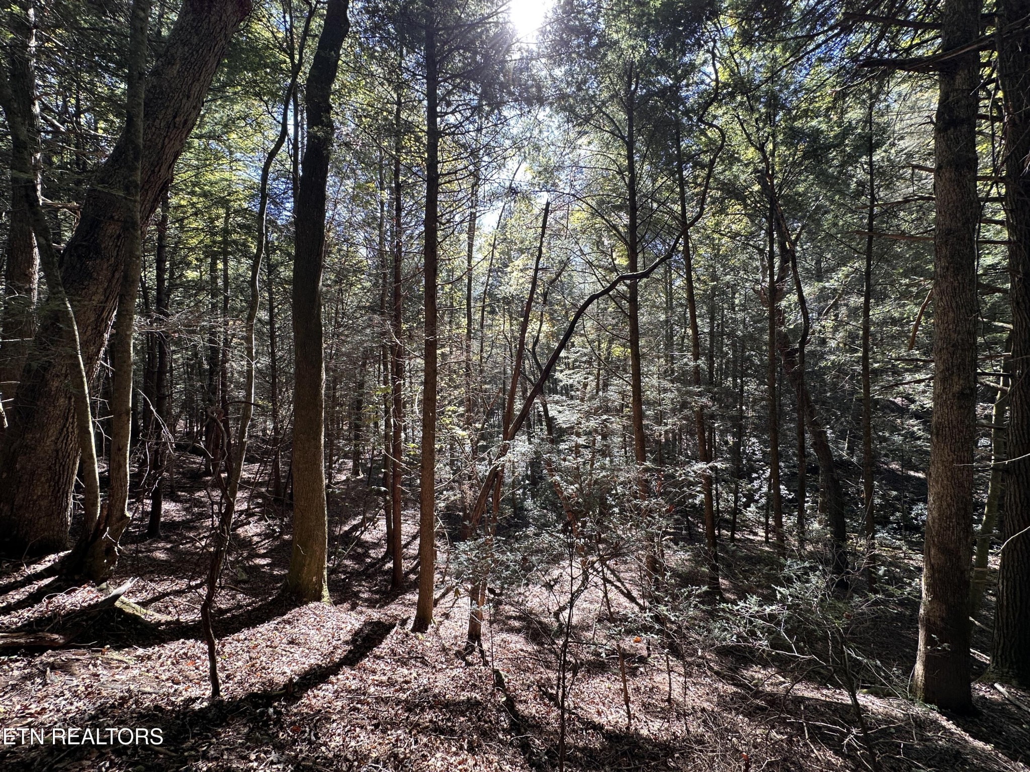 186 Cave Branch Road Allardt TN 38504