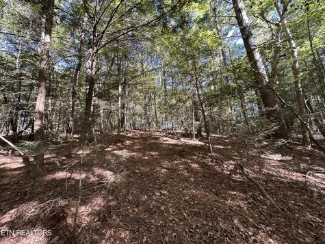 186 Cave Branch Road Allardt TN 38504