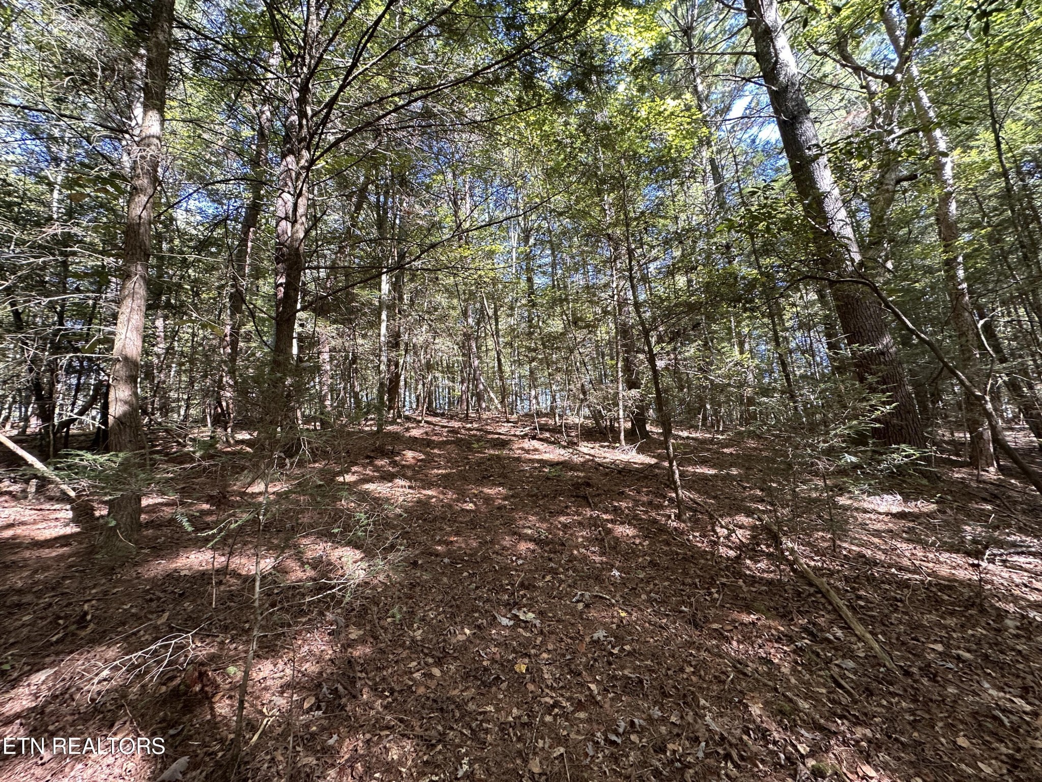 186 Cave Branch Road Allardt TN 38504