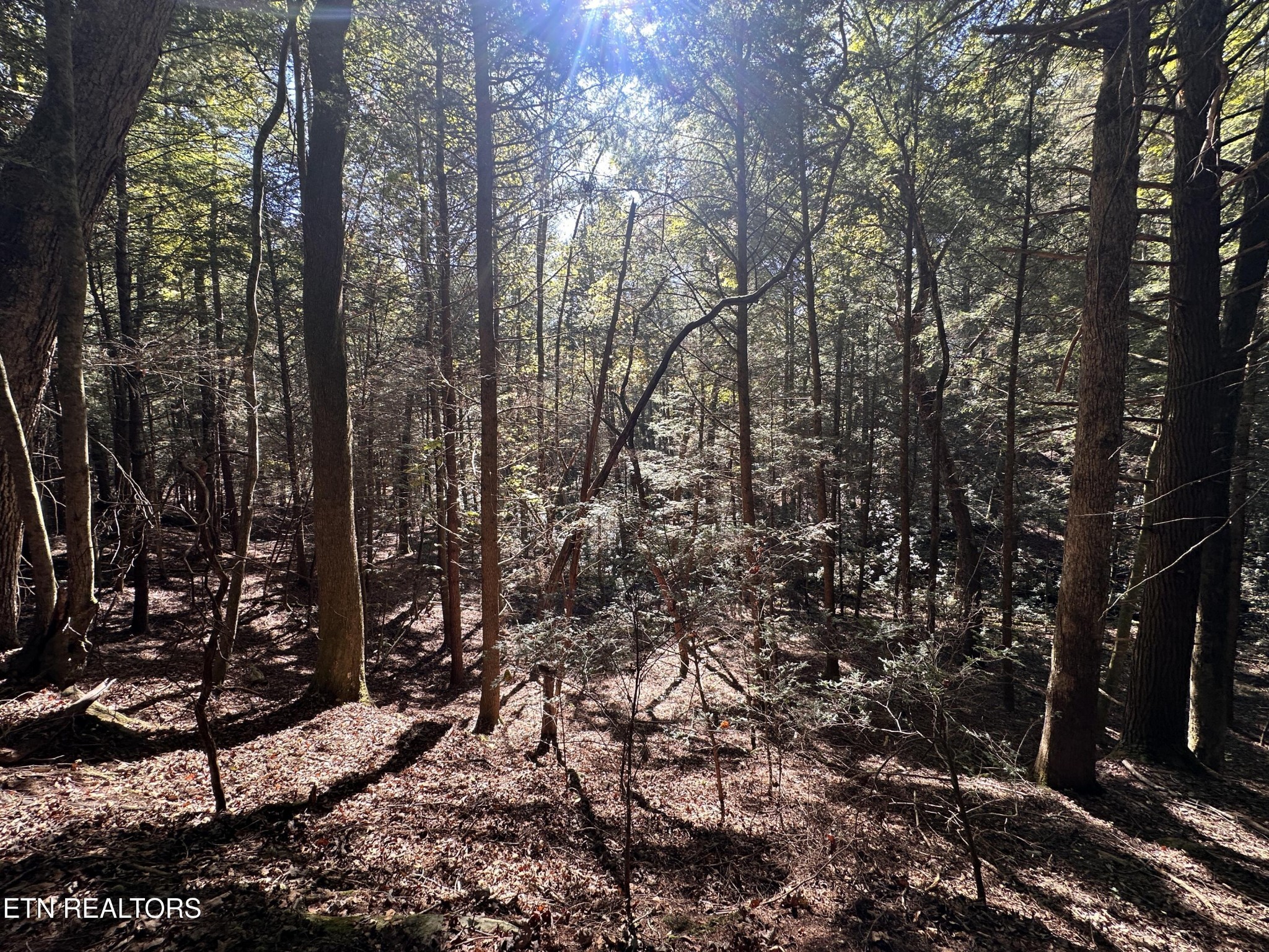 186 Cave Branch Road Allardt TN 38504