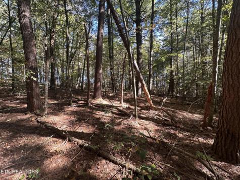 186 Cave Branch Road Allardt TN 38504
