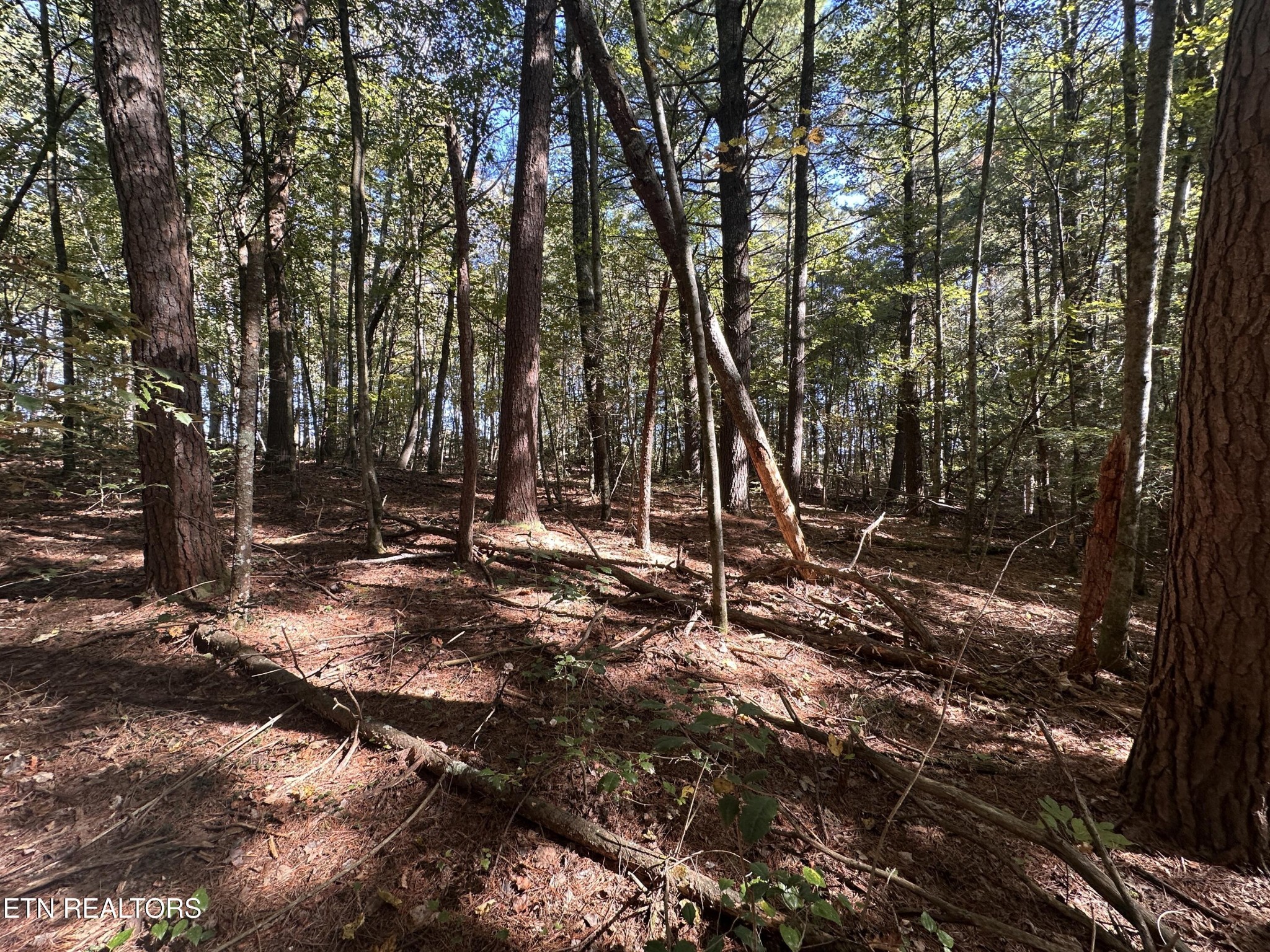 186 Cave Branch Road Allardt TN 38504