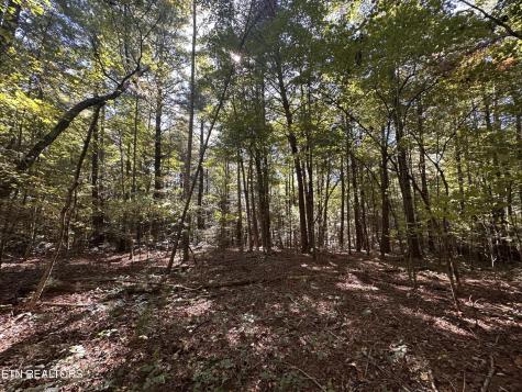 186 Cave Branch Road Allardt TN 38504