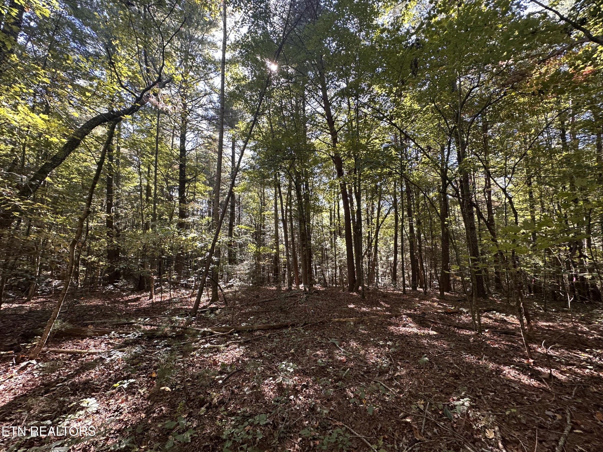 186 Cave Branch Road Allardt TN 38504