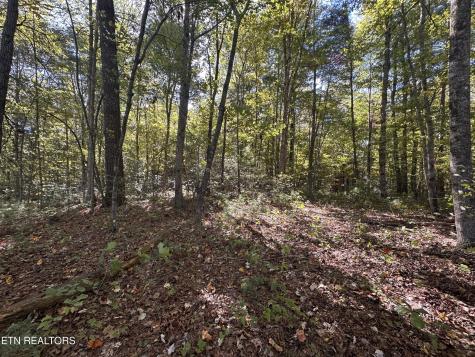 186 Cave Branch Road Allardt TN 38504