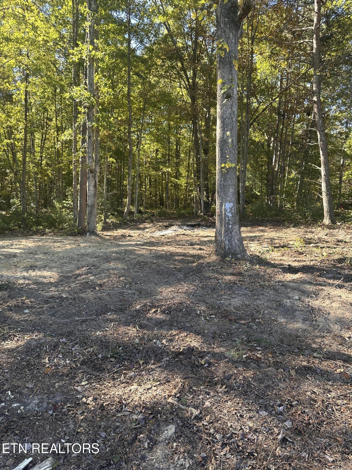 186 Cave Branch Road Allardt TN 38504
