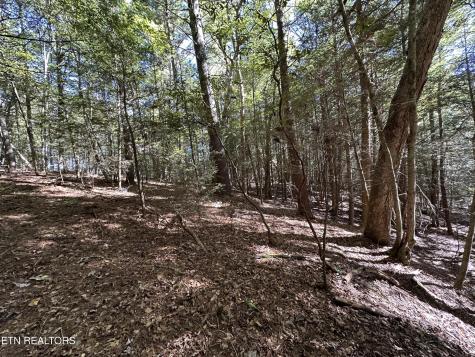 186 Cave Branch Road Allardt TN 38504