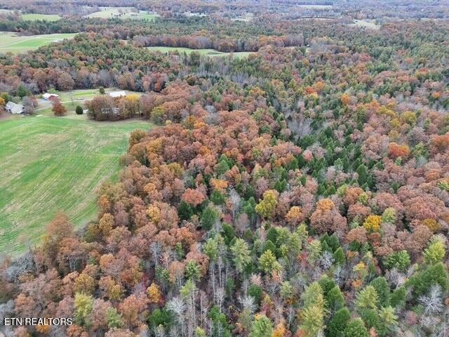 186 Cave Branch Road Allardt TN 38504