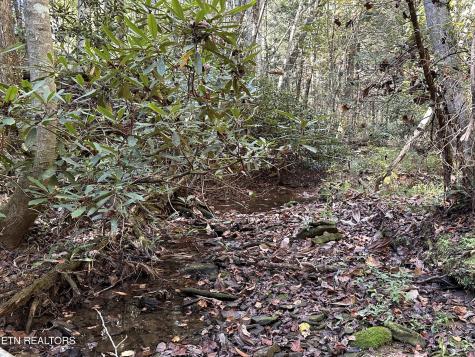 186 Cave Branch Road Allardt TN 38504