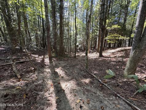 186 Cave Branch Road Allardt TN 38504