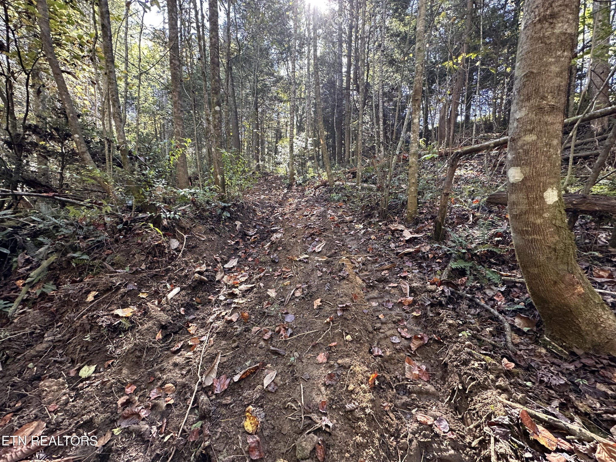 186 Cave Branch Road Allardt TN 38504