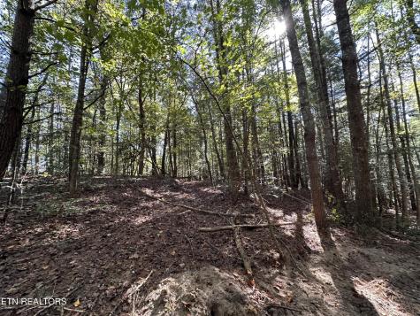 186 Cave Branch Road Allardt TN 38504