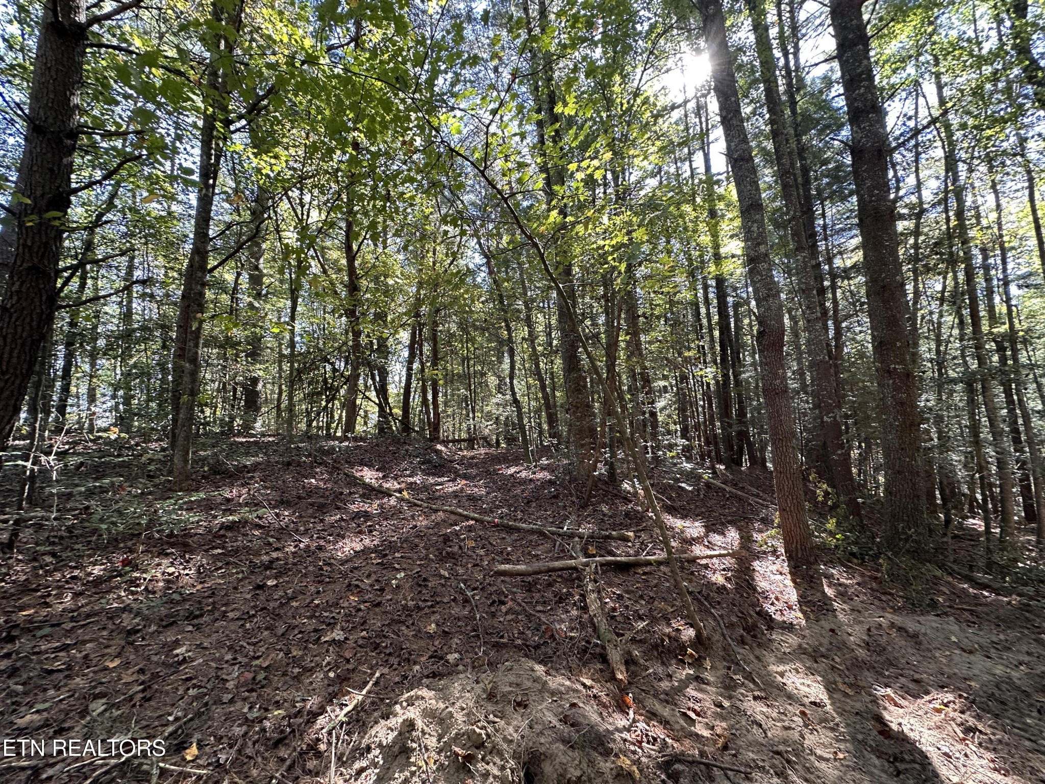 186 Cave Branch Road Allardt TN 38504