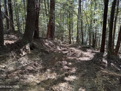 186 Cave Branch Road Allardt TN 38504